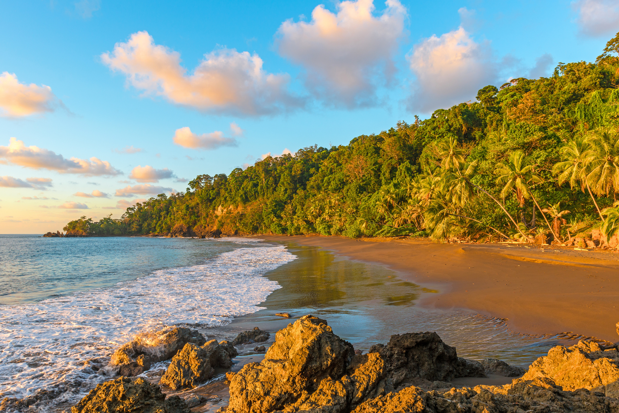 151 corcovado national park.webp